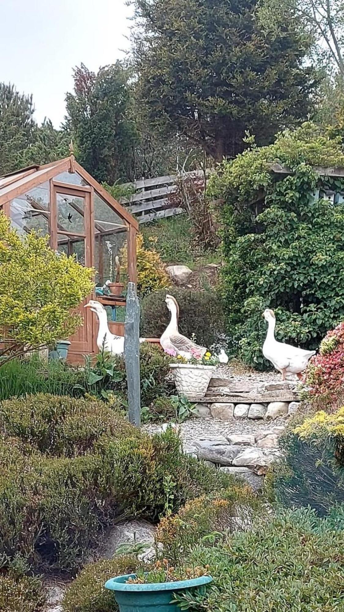 The Guest Suite At Daviot ,인버네스 외부 사진